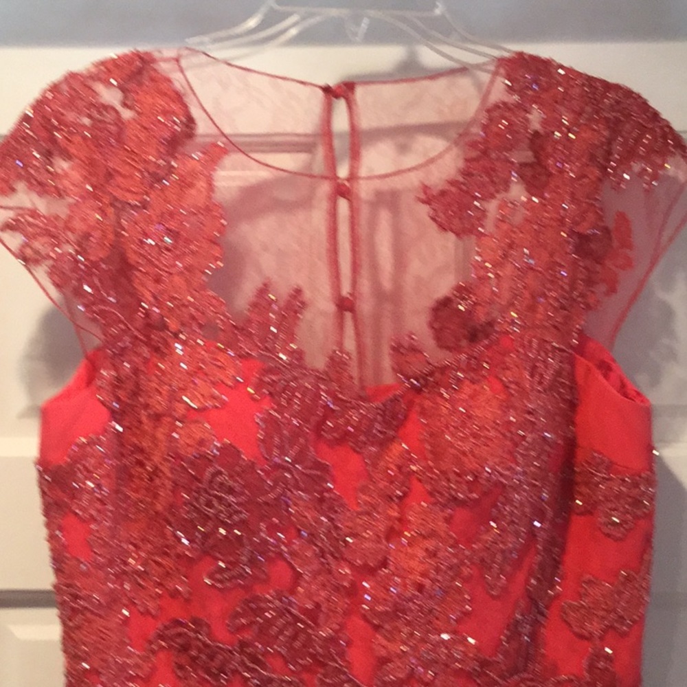 Teri Jon Gown